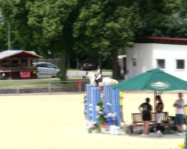 Reitturnier Ingolstadt-Hagau/Obb. 2025