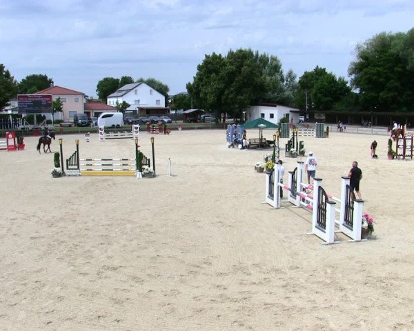 Reitturnier Ingolstadt-Hagau/Obb. 2025