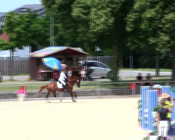 Reitturnier Ingolstadt-Hagau/Obb. 2025