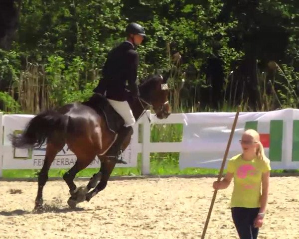 Springturnier Isny 2014