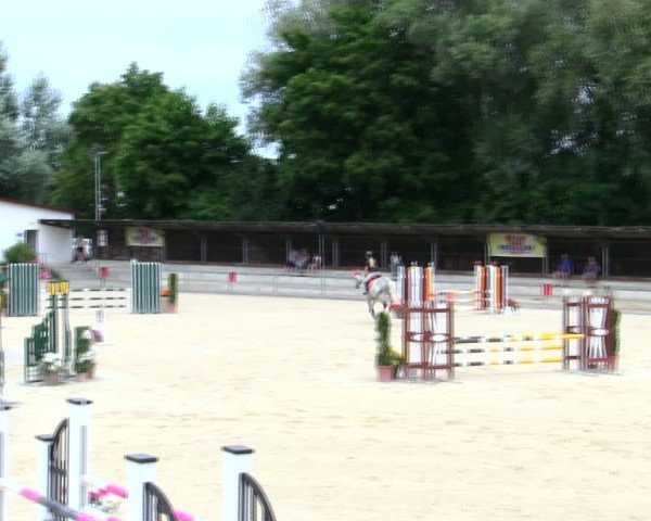 Reitturnier Ingolstadt-Hagau/Obb. 2025