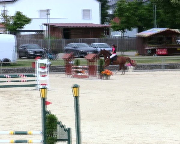 Reitturnier Ingolstadt-Hagau/Obb. 2025
