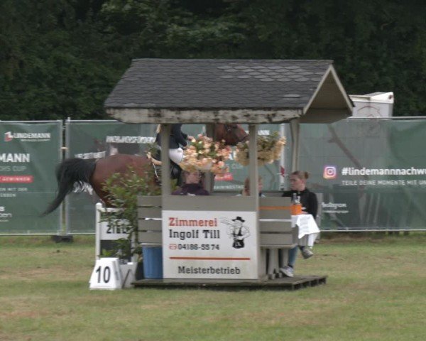 Reitturnier Wohlesbostel 2025