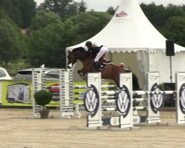 Reitturnier Neustadt/Dosse 2025