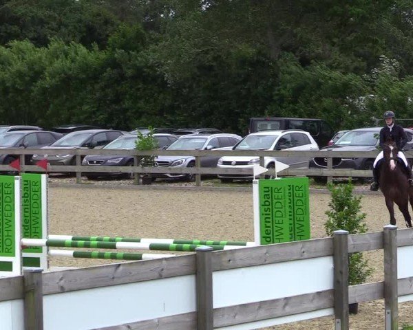 Reitturnier Niebüll 2025