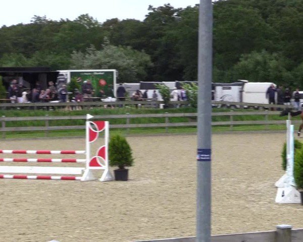 Reitturnier Niebüll 2025