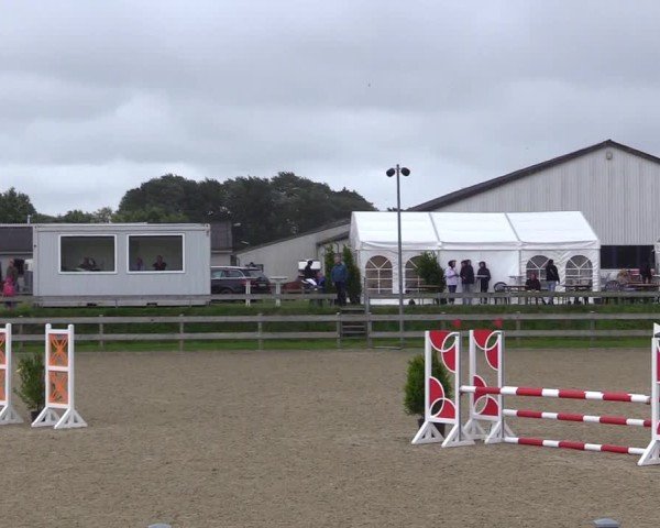 Reitturnier Niebüll 2025