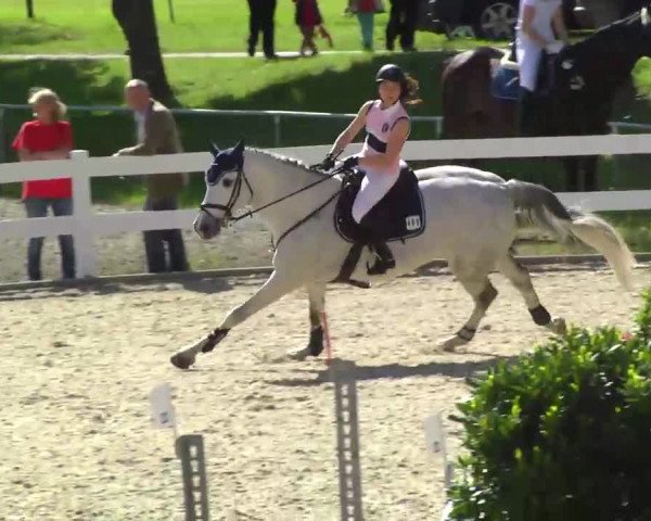 Springturnier Isny 2014