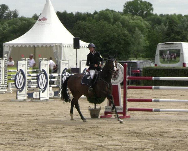Reitturnier Neustadt/Dosse 2025
