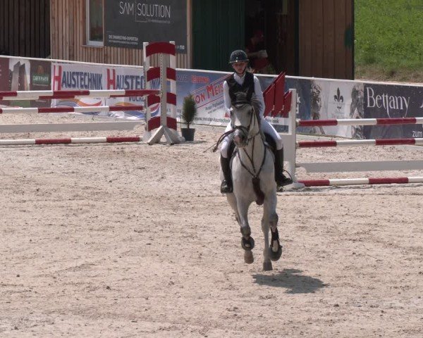 Springturnier Seewalchen 2025