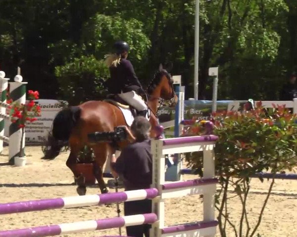 Springturnier Isny 2014