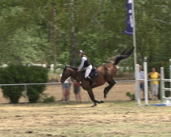 Reitturnier Niederwerbig 2025