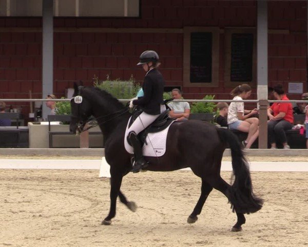 Reitturnier Uder, Reitanlage Kobold 2025