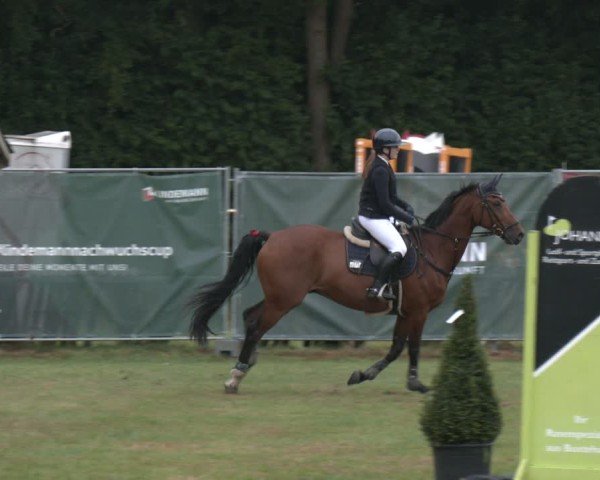 Reitturnier Wohlesbostel 2025