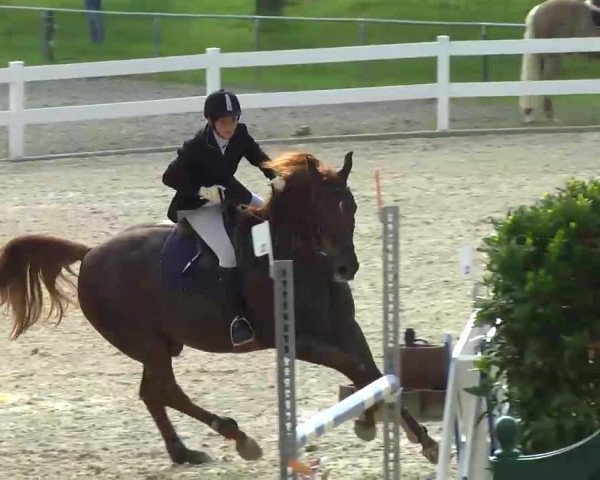 Springturnier Isny 2014