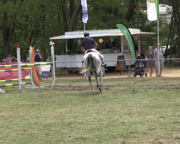 Reitturnier Niederwerbig 2025