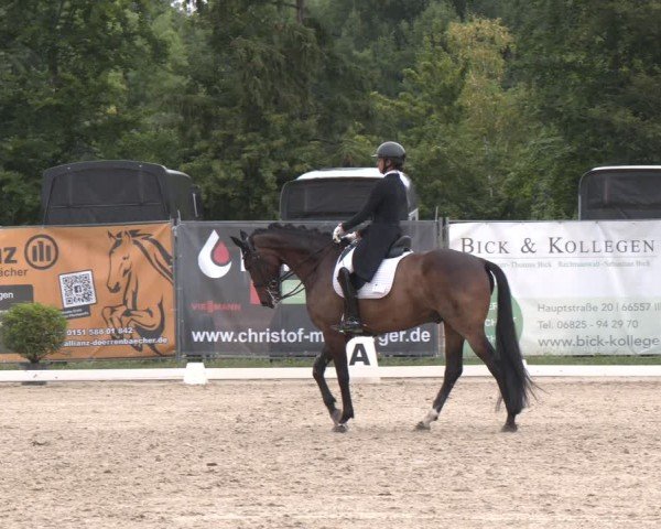 Reitturnier Heiligenwald 2025