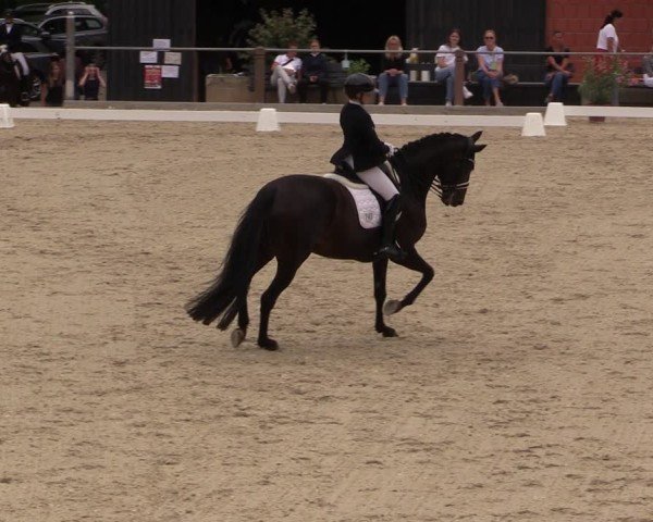 Reitturnier Uder, Reitanlage Kobold 2025