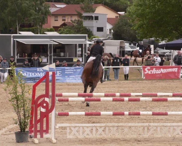 Reitturnier Heiligenwald 2025