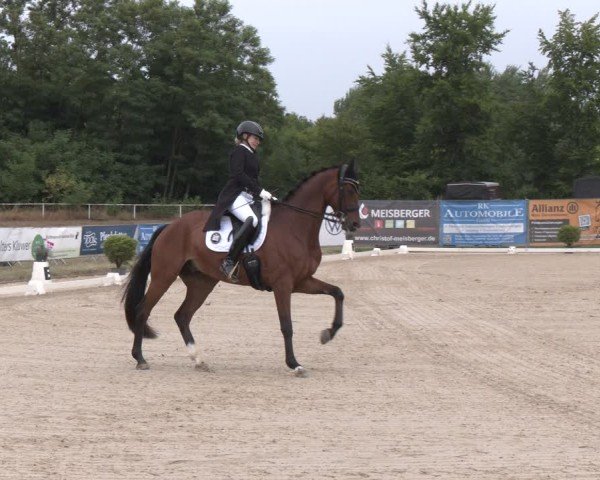 Reitturnier Heiligenwald 2025