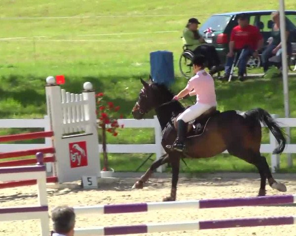 Springturnier Isny 2014