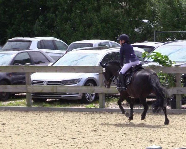 Reitturnier Niebüll 2025