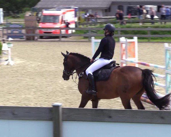 Reitturnier Niebüll 2025