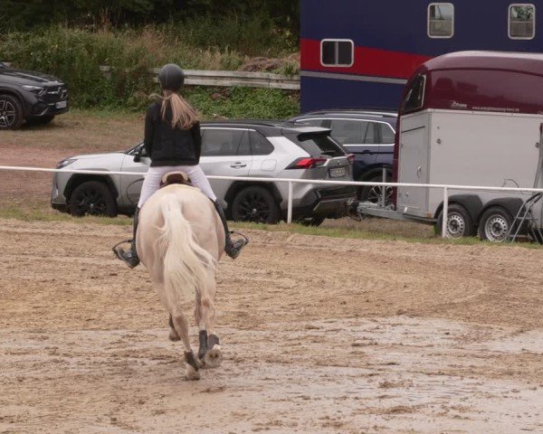 Reitturnier Heiligenwald 2025