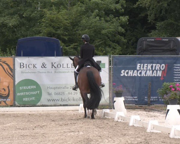 Reitturnier Heiligenwald 2025