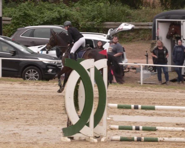 Reitturnier Heiligenwald 2025
