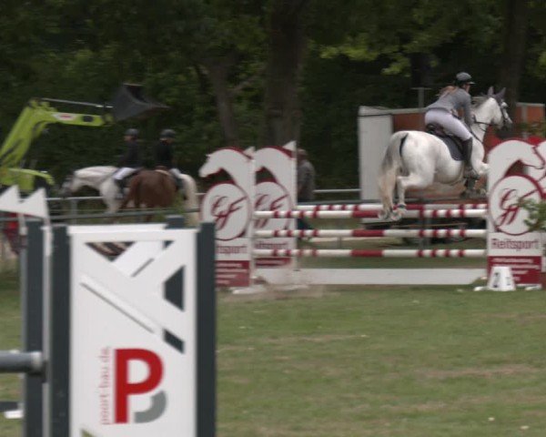 Reitturnier Wohlesbostel 2025