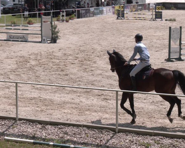 Springturnier Seewalchen 2025
