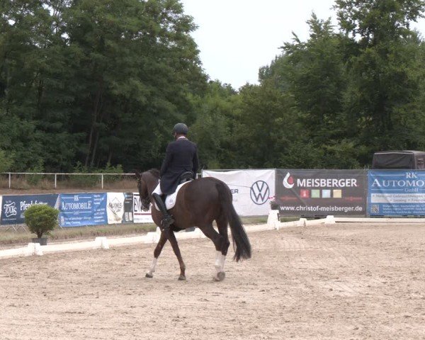 Reitturnier Heiligenwald 2025