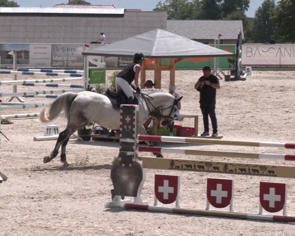 Springturnier Seewalchen 2025