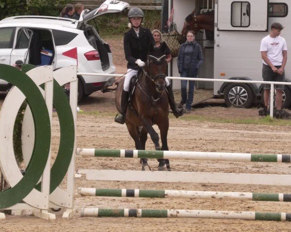 Reitturnier Heiligenwald 2025