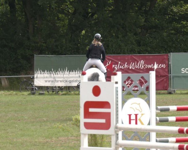 Reitturnier Wohlesbostel 2025