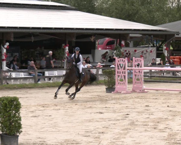 Reitturnier Münster-Roxel 2025