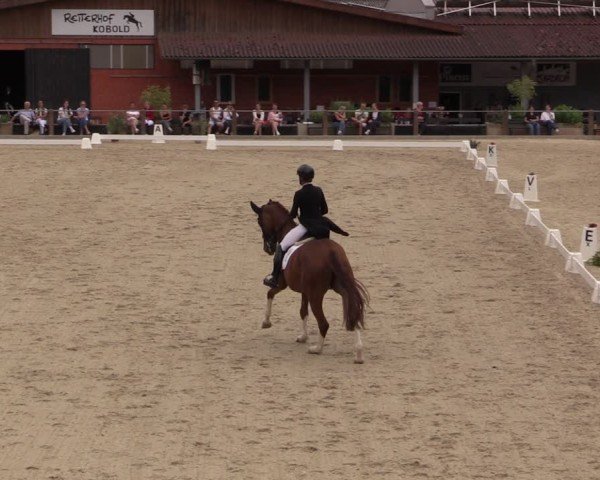 Reitturnier Uder, Reitanlage Kobold 2025