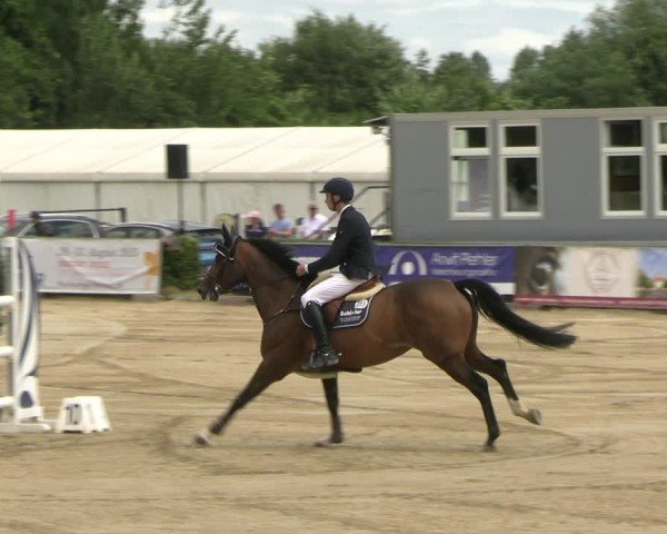 Reitturnier Neustadt/Dosse 2025