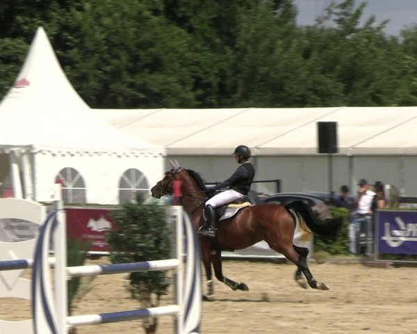 Reitturnier Neustadt/Dosse 2025