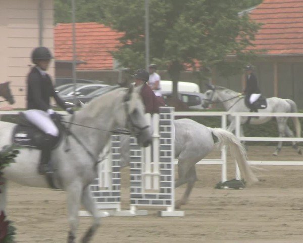 Reitturnier Neustadt/Dosse 2025