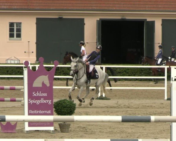Reitturnier Neustadt/Dosse 2025