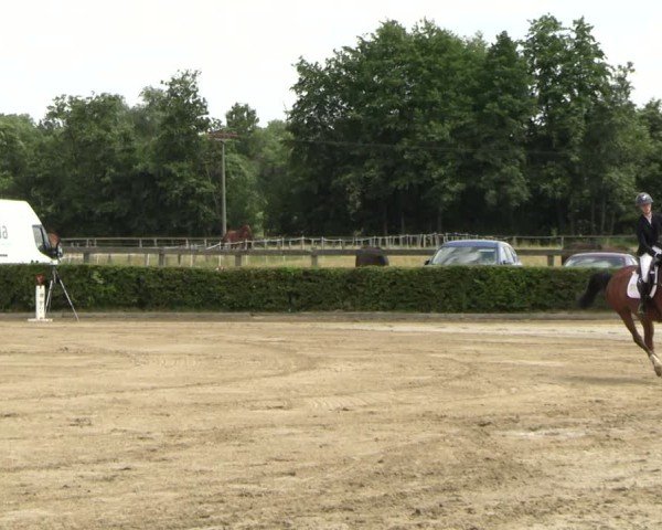Reitturnier Neustadt/Dosse 2025