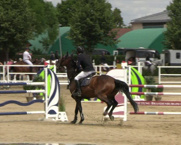 Reitturnier Neustadt/Dosse 2025