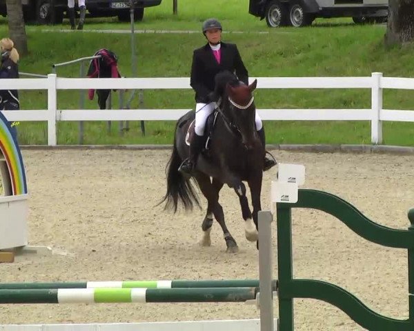 Springturnier Isny 2014