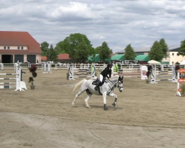 Reitturnier Neustadt/Dosse 2025