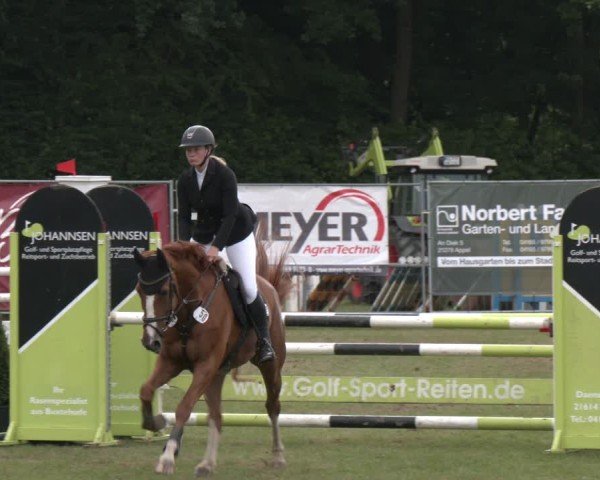 Reitturnier Wohlesbostel 2025