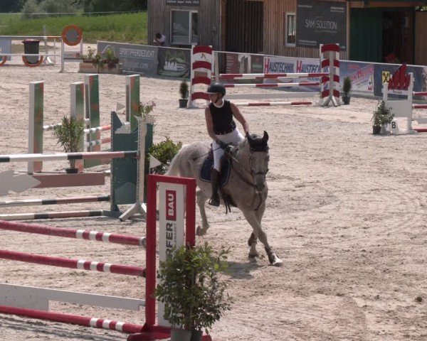 Springturnier Seewalchen 2025