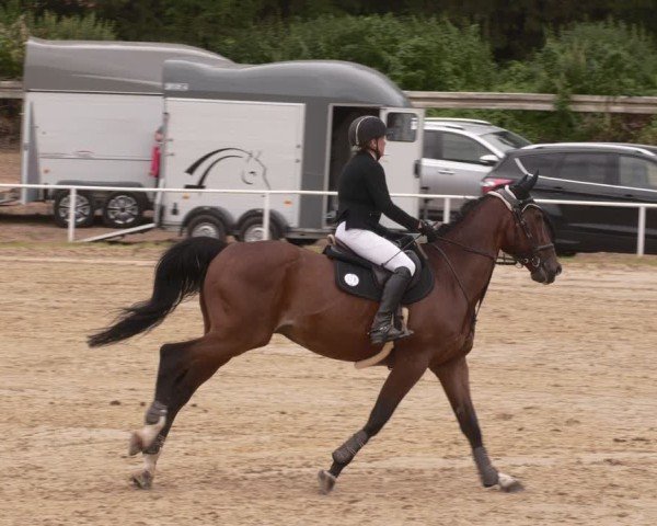 Reitturnier Heiligenwald 2025