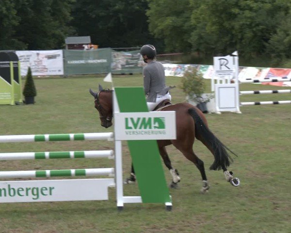 Reitturnier Wohlesbostel 2025